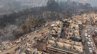El Desconcierto | 28941 incendio lirquen.webp