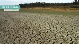 Avanzando la desertificación: Cómo nuestra desconexión alimenta la sequía