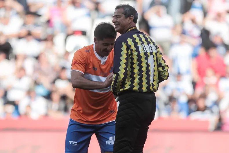 23387 pato toledo.webp