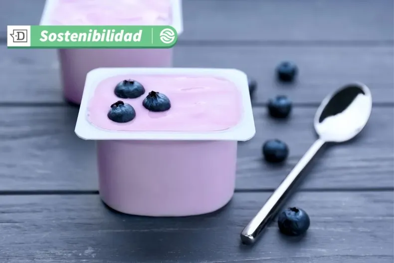 18439 diseno sin titulo 2025 07 02t094658.webp