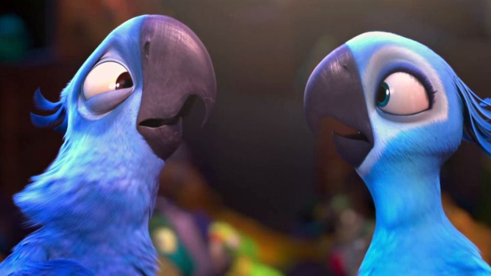 Declaran extinto al guacamayo azul que inspiró la película Río por deforestación
