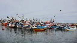 Pescadores artesanales exigen a gobernador del Biobío recursos para financiar vestimenta adecuada para seguridad