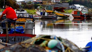 Nueva arremetida salmonera contra ley que entrega protección de mares a pueblos originarios