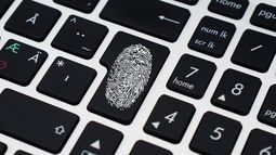 Cada like influye en tu huella digital ¿Cómo te puede afectar al momento de buscar trabajo?