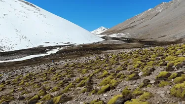 Minera gana disputa contra santuario que protegía las fuentes de agua de Monte Patria, la comuna con más desplazados climáticos