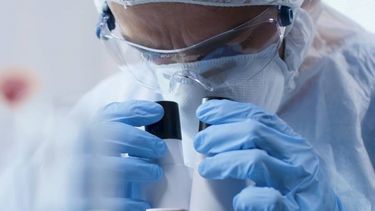 La OMS cree que la viruela del mono circuló algún tiempo sin ser detectada