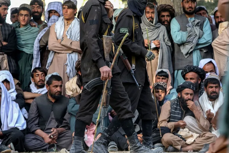 14216 talibanes.webp