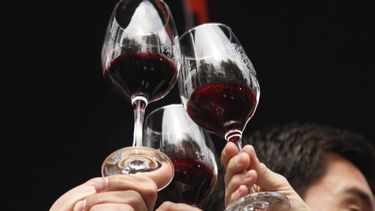 Chile a la baja en consumo de alcohol: Es el tercer país OCDE en disminuir ingesta en última década