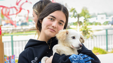 60 gatitos y 100 perritos buscarán una nueva vida este 2025 con gran feria de adopción en Santiago