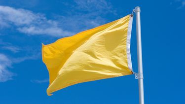 El Desconcierto | bandera amarilla.jpg