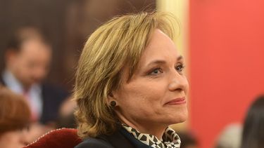 Impuestos al alcohol, tabaco y azúcar: La propuesta de la senadora Goic para financiar la Ley Nacional del Cáncer