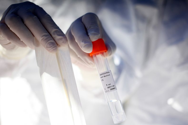 PCR.jpg
