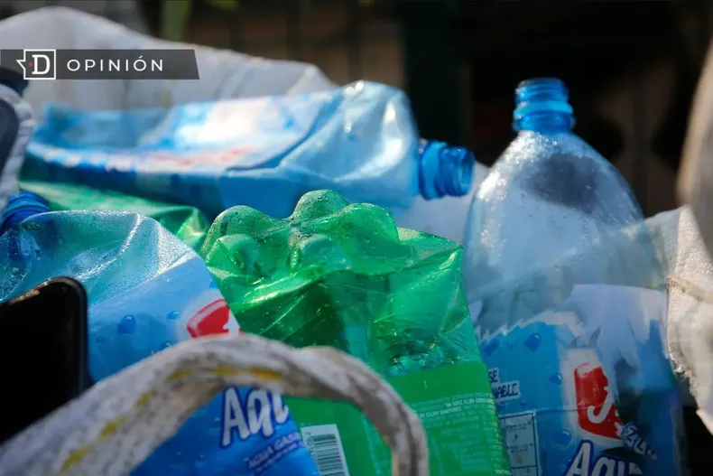 13950 botellas de plastico en la basura.webp