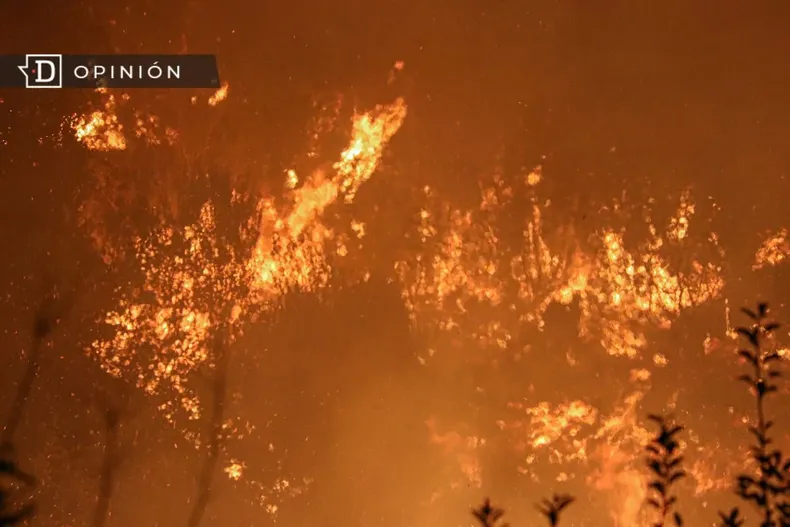 26571 incendio forestal en hualqui.webp