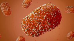 Viruela Mpox avanza rápidamente por África: 21.500 casos y 591 muertes en 13 países este 2024