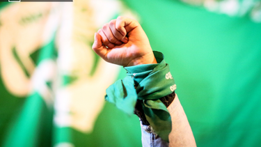 El Desconcierto | Proyecto aborto e1718297874200.png