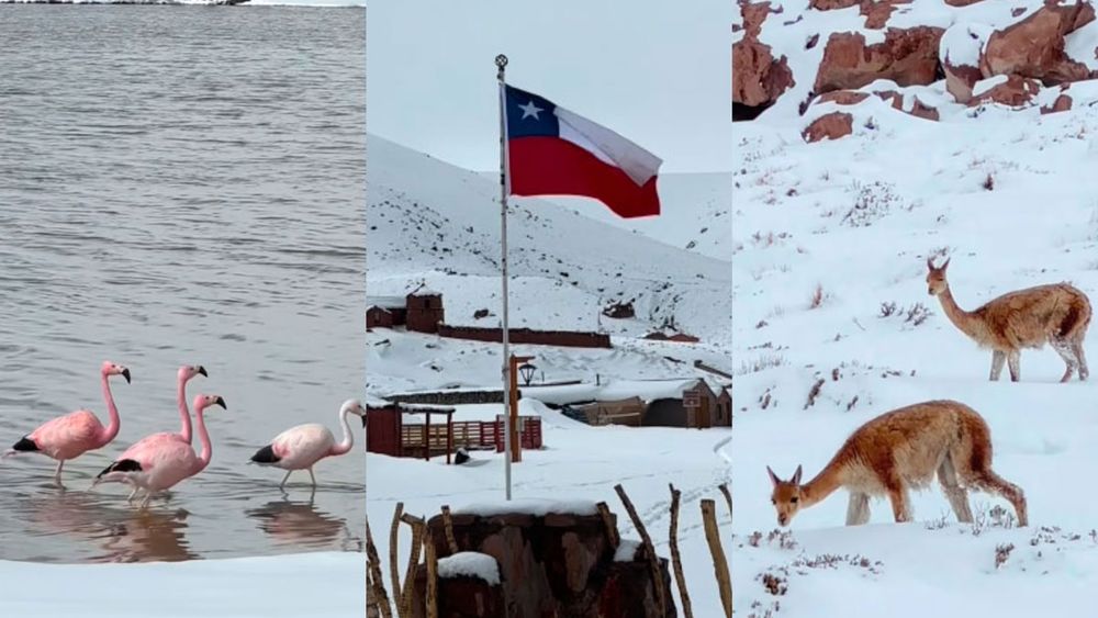 Las imágenes que dejó la nieve en el Desierto de Atacama - Captura de video
