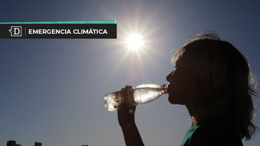 El Desconcierto | Calor extremo.png