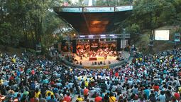 Denuncia de abuso sexual puso en jaque al Festival Internacional de Poesía de Medellín