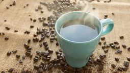Cafeína: contaminante emergente de los ríos y aguas costeras del mundo