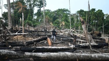 El Desconcierto | 2099 devastacion en la amazonia por mineria ilegal.jpg