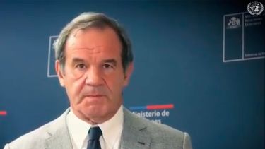 El Desconcierto | Allamand.jpg
