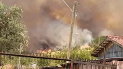 Senapred mantiene Alerta Roja en San Javier por incendio forestal: Quedan dos focos por controlar