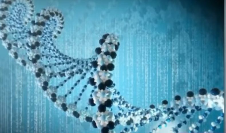 Atrofia muscular espinal.jpg