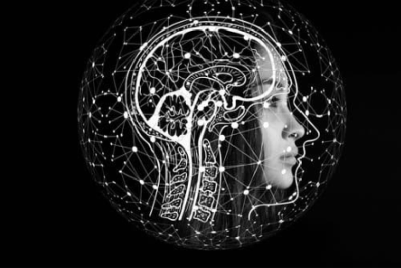 el cerebro celebra su dia con avances en la adaptacion social de los neurodivergentes.png