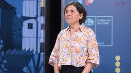 Paulina Saball y reconstrucción de viviendas tras incendios: “Requiere del esfuerzo de muchos”