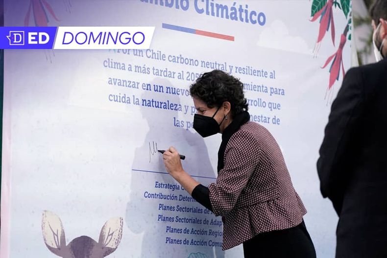 Ed_domingo_nota_bc 1.jpg
