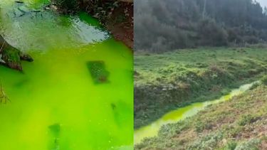 Agua con contaminación la hace tener un color verde fluorescente - Captura de video