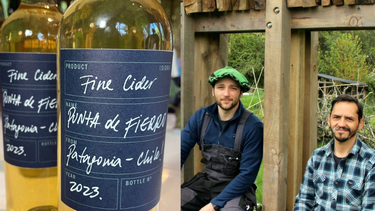 Agroecología dice adiós a la manzana procesada en Valdivia y da la bienvenida a la Sidra