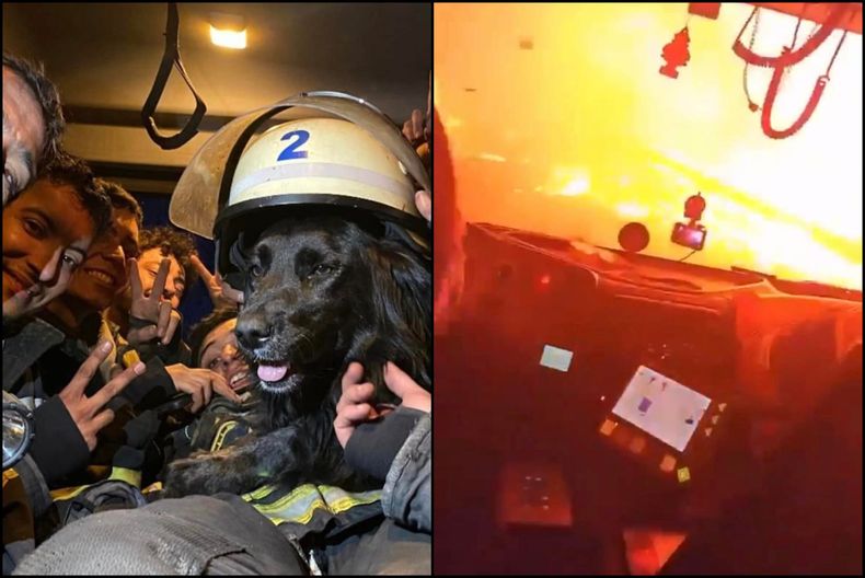 bomberos 1 scaled.jpg