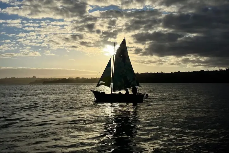11753 navegacion a vela chiloe.webp