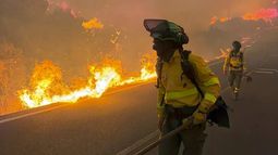 Incendios forestales arrasan con bosques y zonas residenciales - Agencia EFE