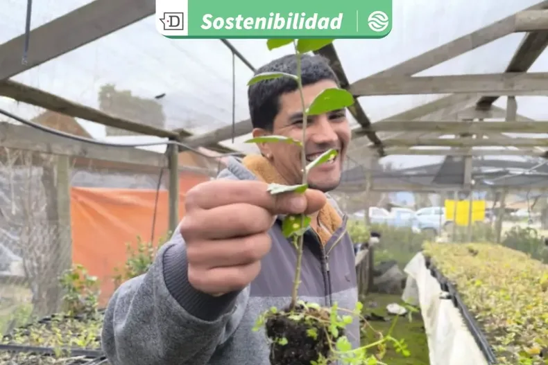 20770 diseno sin titulo 2025 08 13t154505.webp