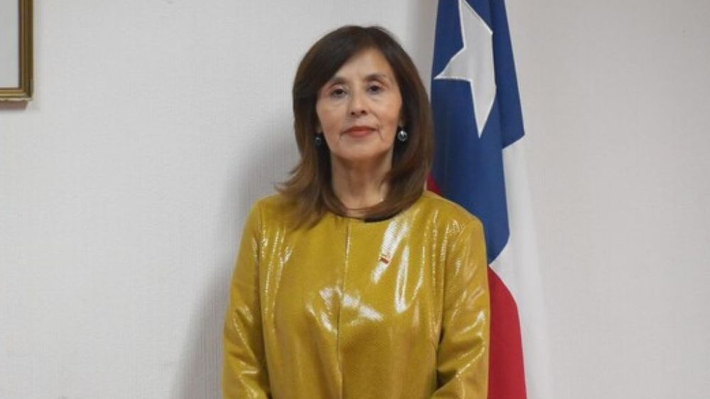 Gloria Paredes fue nombrada como seremi de Bienes Nacionales, en medio de la polémica por un antiguo tuit sobre vacunas
