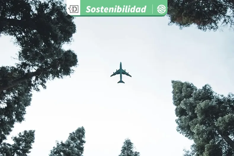 20831 diseno sin titulo 2025 08 14t154117.webp