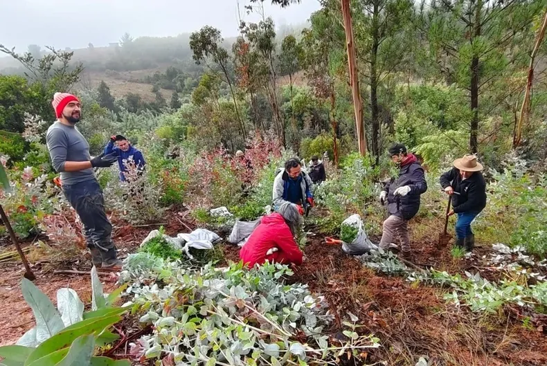 24041 restauracion 1280x936.webp