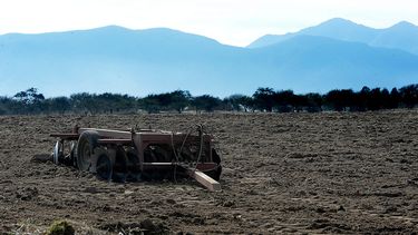 Mujeres profesionales muestran más interés en hacer voluntariados en ayuda a comunidades rurales