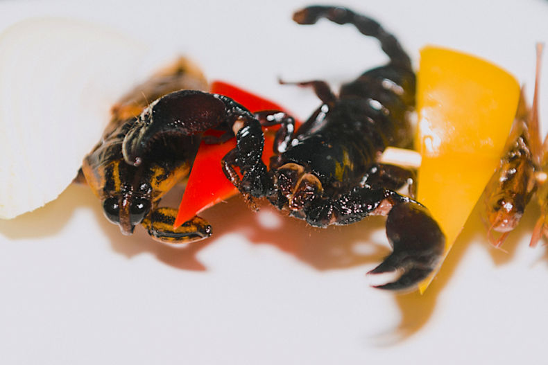 brocheta de escorpion.png