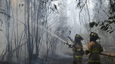 Domingo con 38°C a la sombra: DMC actualiza su Alerta Meteorológica y se eleva peligro de incendios