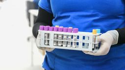 Revolución en la ciencia. Foto: Agencia Uno Revolución en la ciencia. Foto: Agencia Uno