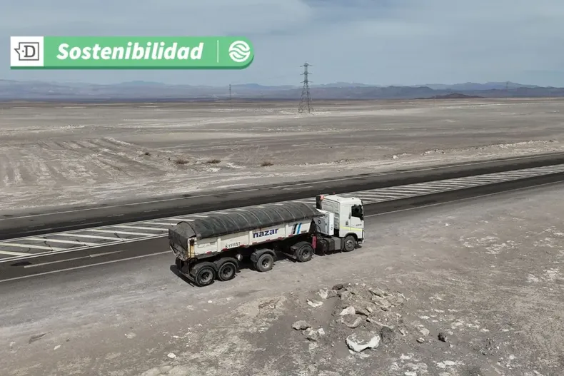 16421 diseno sin titulo 2025 05 28t125334.webp