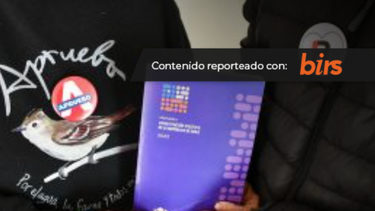 El Desconcierto | convencion constitucional.png
