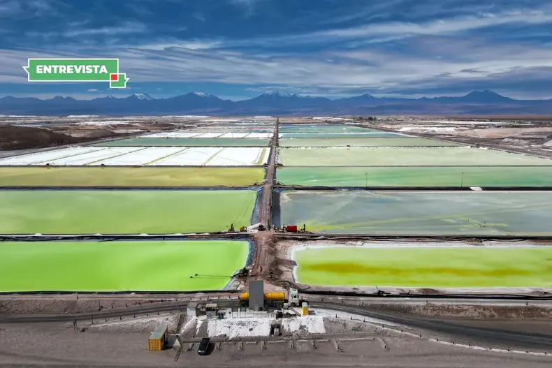 25755 diseno sin titulo 2025 11 13t233815.webp