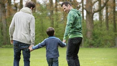 El Desconcierto | adopcion_homosexual.jpg
