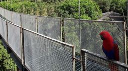 Javiera Rojas, encargada de Programas del Parque Tricao, detalla las prácticas de turismo sustentable, el trabajo de conservación de fauna y los logros del proyecto educativo Aula Tricao.