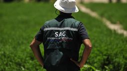 Multan con 10% de su sueldo a un funcionario del SAG que perdió televisión de una bodega